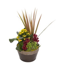 Composición en base de latón